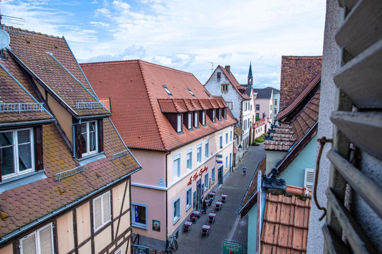 Apartament Le Rapp - Centre Historique - Wifi - Tout Confort Colmar Zewnętrze zdjęcie