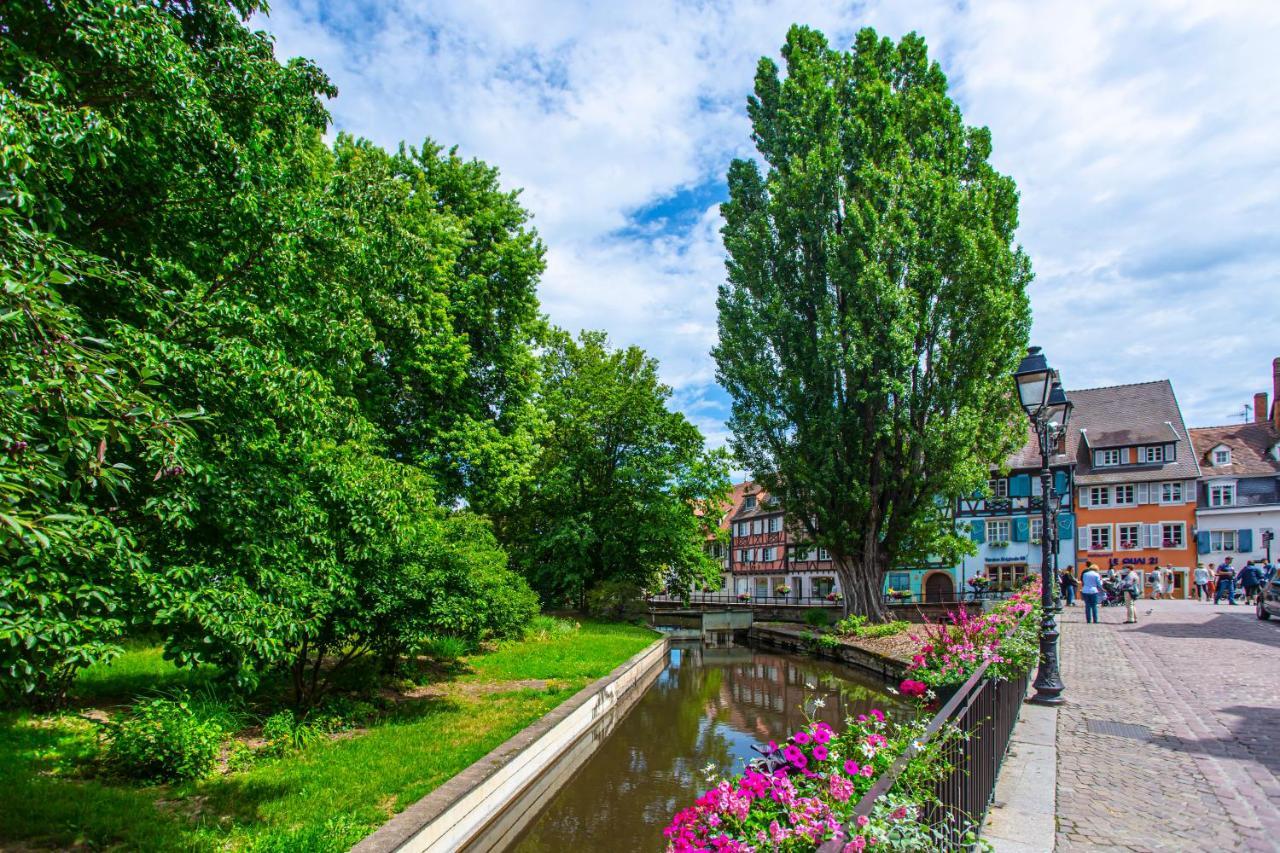 Apartament Le Rapp - Centre Historique - Wifi - Tout Confort Colmar Zewnętrze zdjęcie